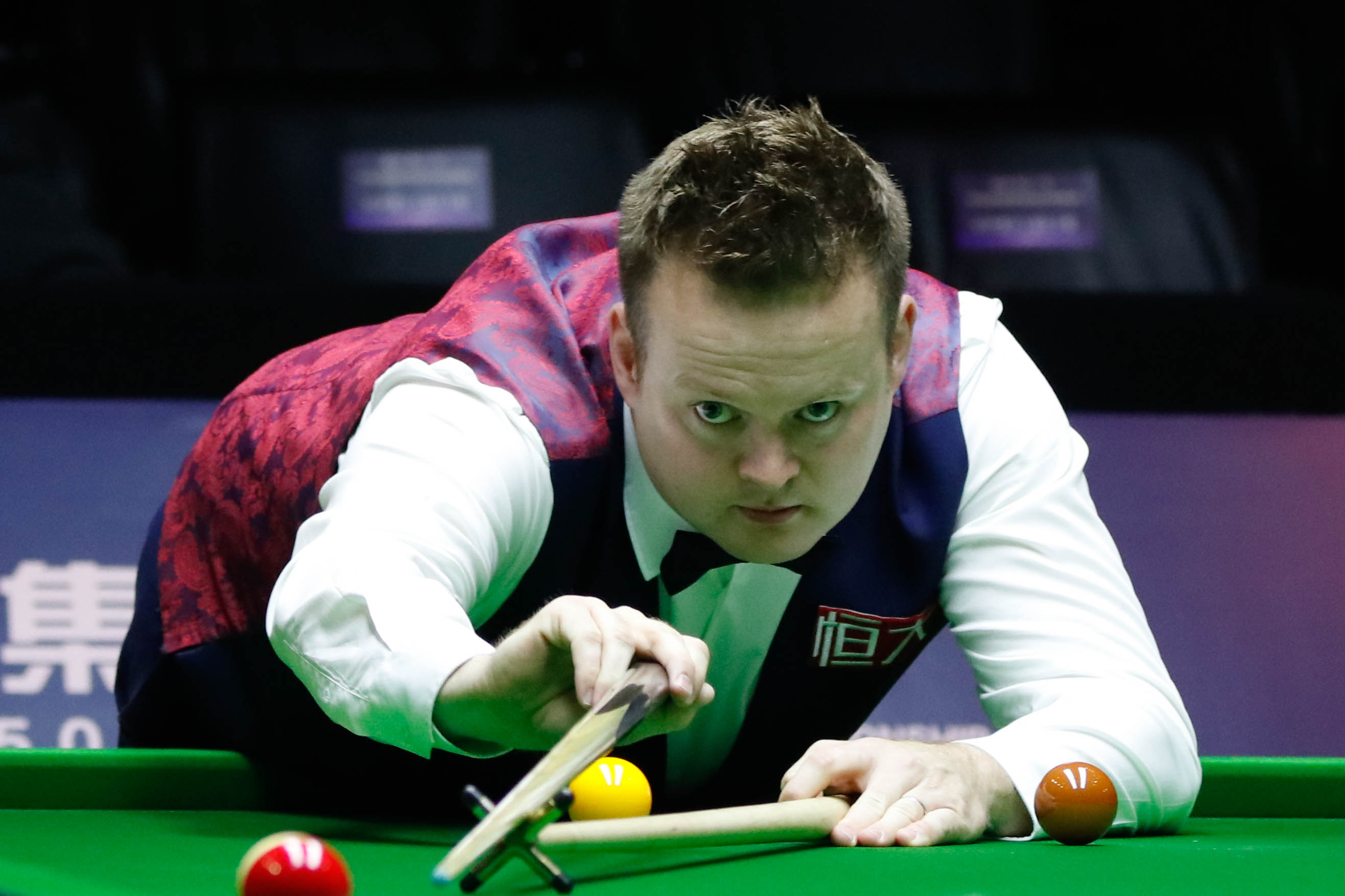 了鲜明对比 了鲜明对比